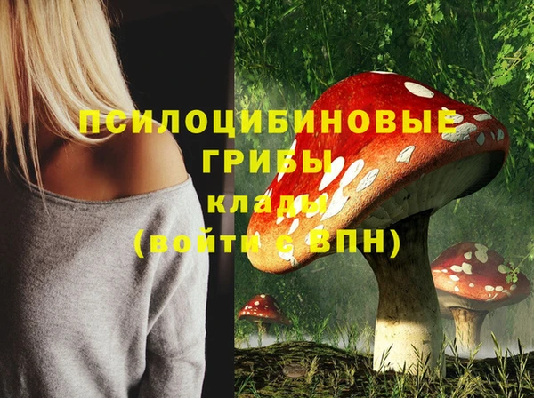альфа пвп Нягань
