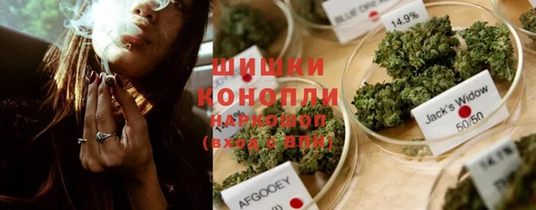 СК Няндома